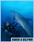 Karen and Dolphin